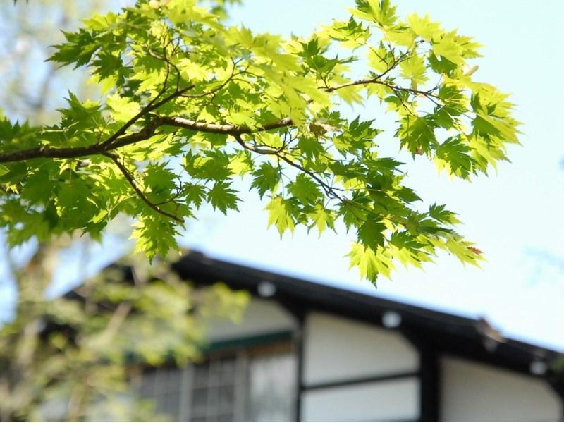 Mampei Hotel Karuizawa Exterior foto